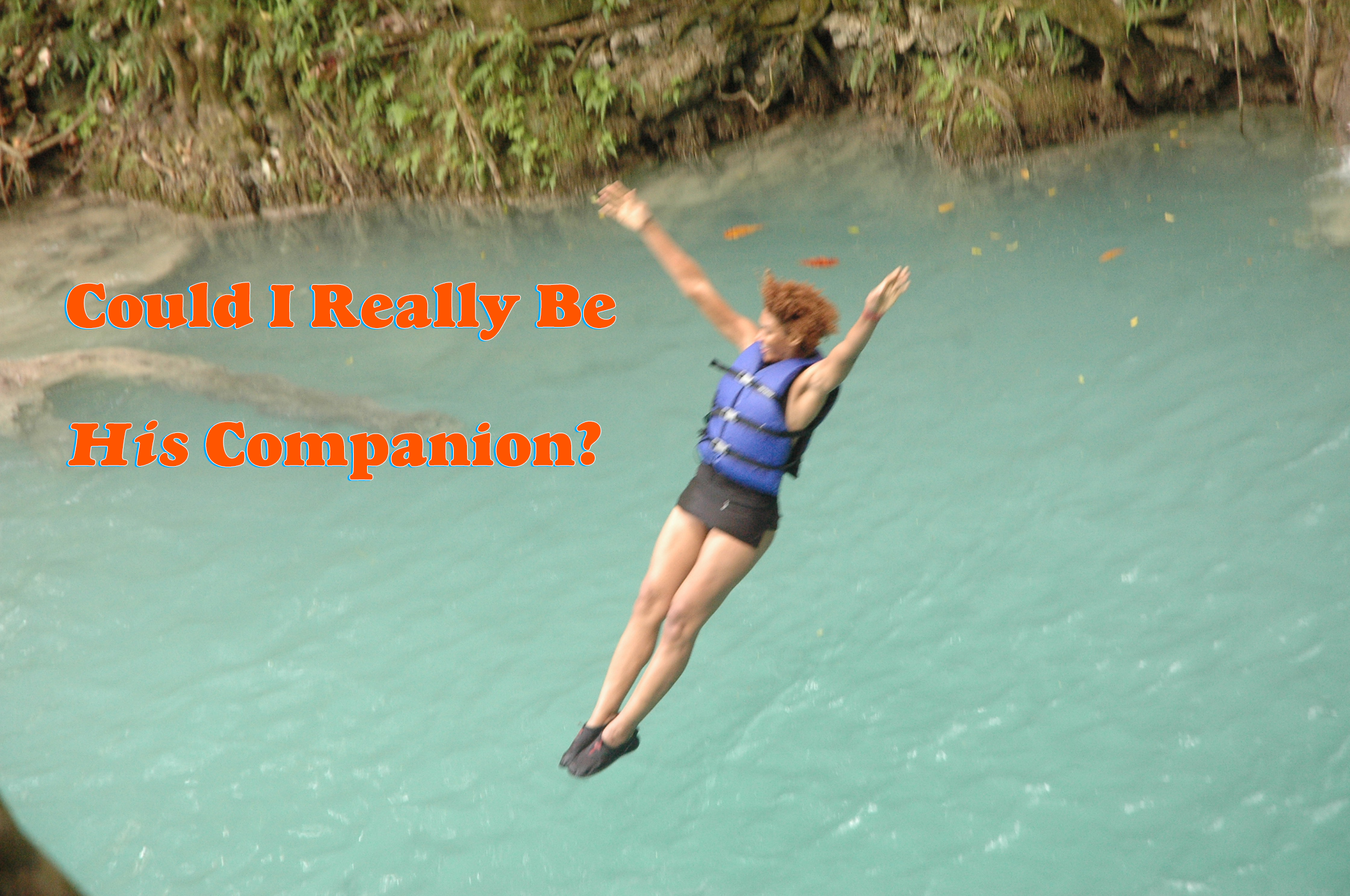 What Exactly Do You Mean By Companion