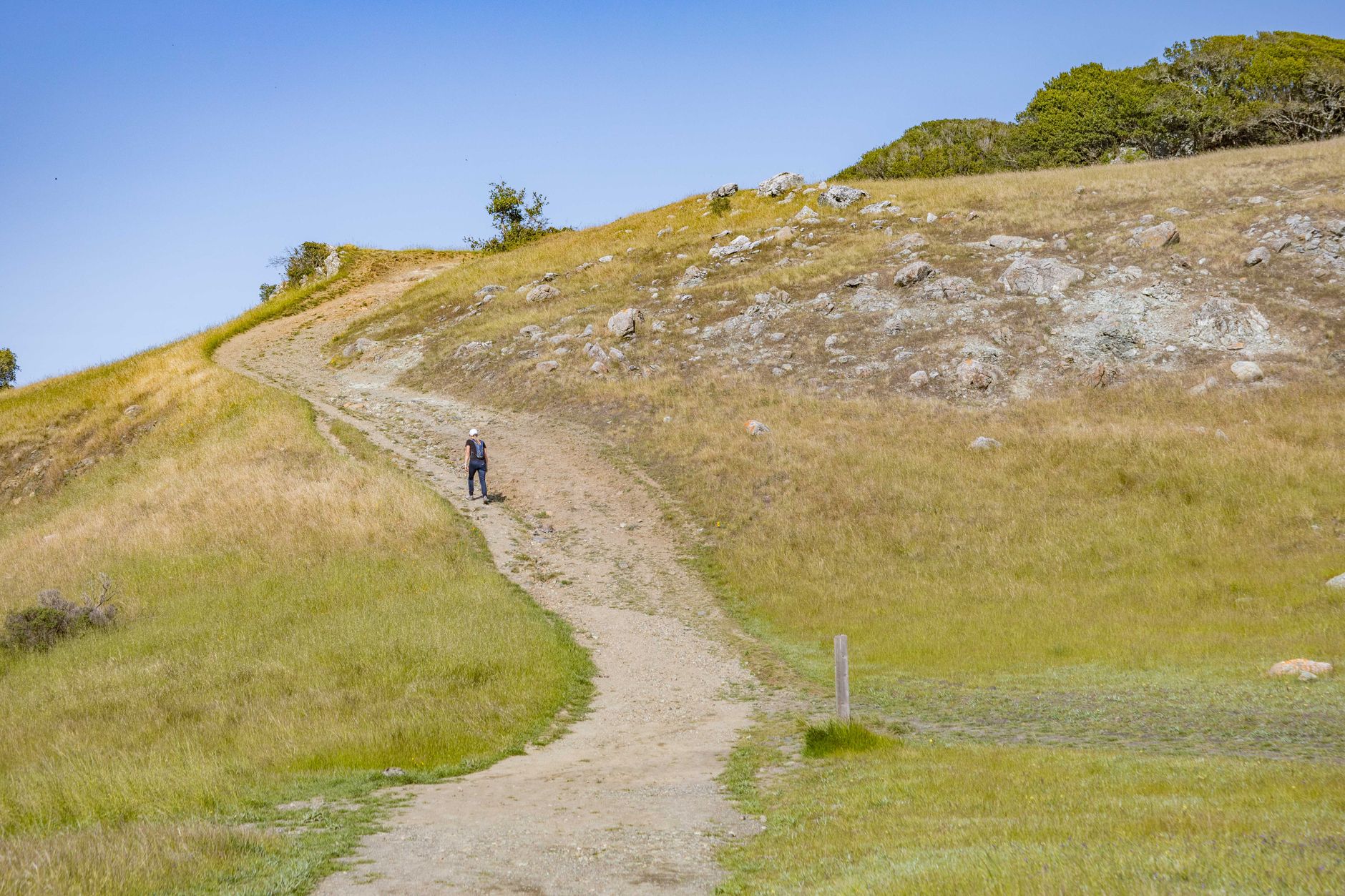 a person walking up the hill