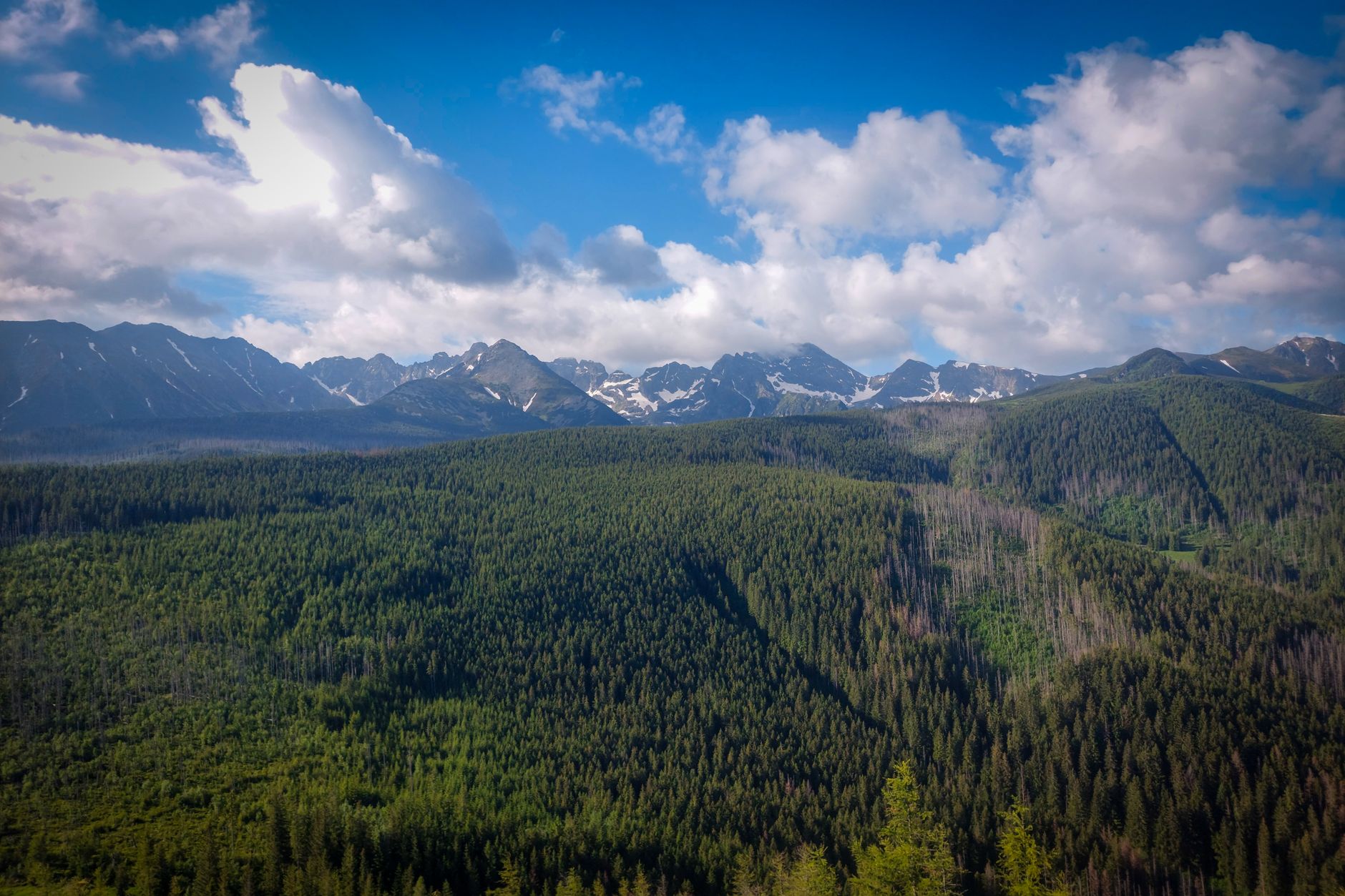 clouds over forested mountains